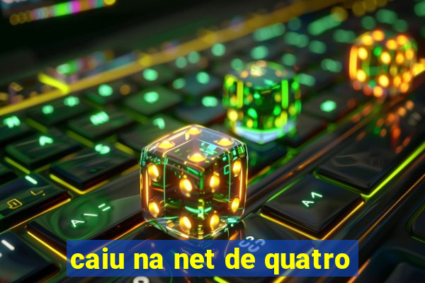 caiu na net de quatro